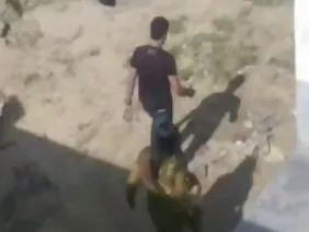 Utangaç tatlı