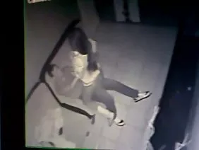Japon tıraşsız kasık