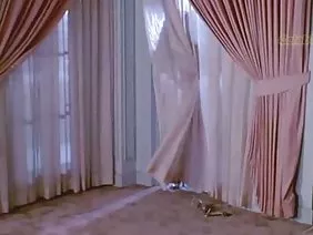 Kedi su akışı gönderildi