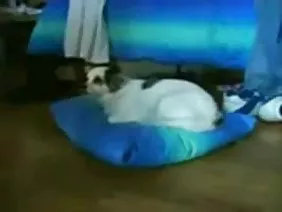 Doktor muayene ve otbebal